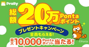 pnta.さん専用ページ 硬式用Mizuno ファーストミット 【2024モデル】ミズノプロ