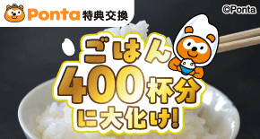 pnta.さん専用ページ ゼノア純正部品 ピストンリング/TKZ230/TRZ235/BCZ245/BCZ241